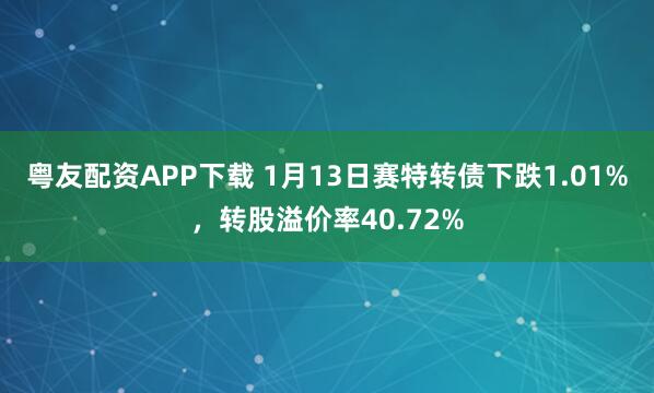 粤友配资APP下载 1月13日赛特转债下跌1.01%，转股溢价率40.72%