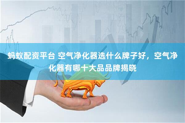 蚂蚁配资平台 空气净化器选什么牌子好，空气净化器有哪十大品品牌揭晓