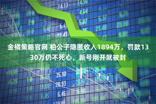 金橘策略官网 柏公子隐匿收入1894万，罚款1330万仍不死心，新号刚开就被封