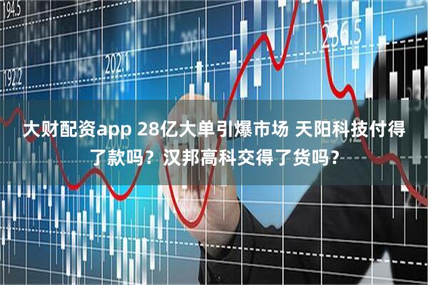 大财配资app 28亿大单引爆市场 天阳科技付得了款吗？汉邦高科交得了货吗？